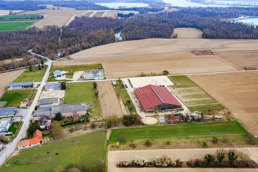 Vue aérienne: Écurie Schweykart à Stattmatten dans le département Bas Rhin, France – .Photo: IMG_086632.jpg prise le 19/03/2016 par Werner Riehm/FLY-FOTO.eu – Résolution de l'original: 5007 x 3338 px