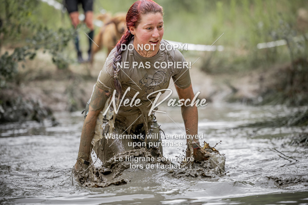 nelerasche_so0930-1000_139 | nelerasche