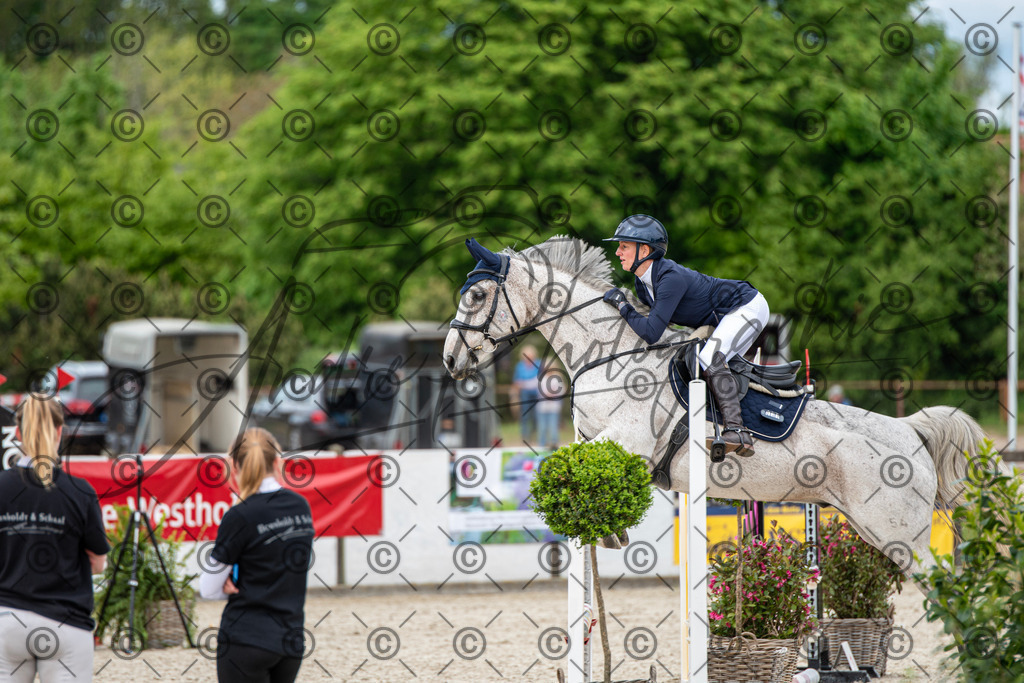 KPT_6188 | andre_photographic