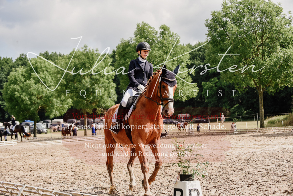 DSC_0023 | Pferde- und Turnierfotografie in Westsachsen. Pferdeportraits, Auftragszeichnungen und intuitive Kunst.