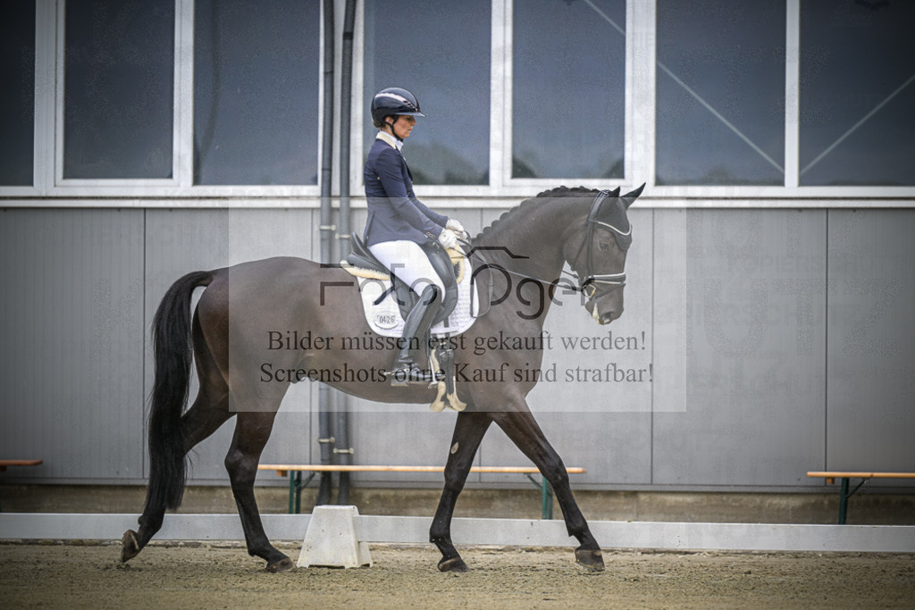 DOS_0016 | Entdecke hochwertige Reitturnierfotos von Foto Oger. Professionell, emotional und authentisch – jetzt Lieblingsmomente im Shop bestellen.Deutschlandweite Turnierfotografie. - Realisiert mit Pictrs.com