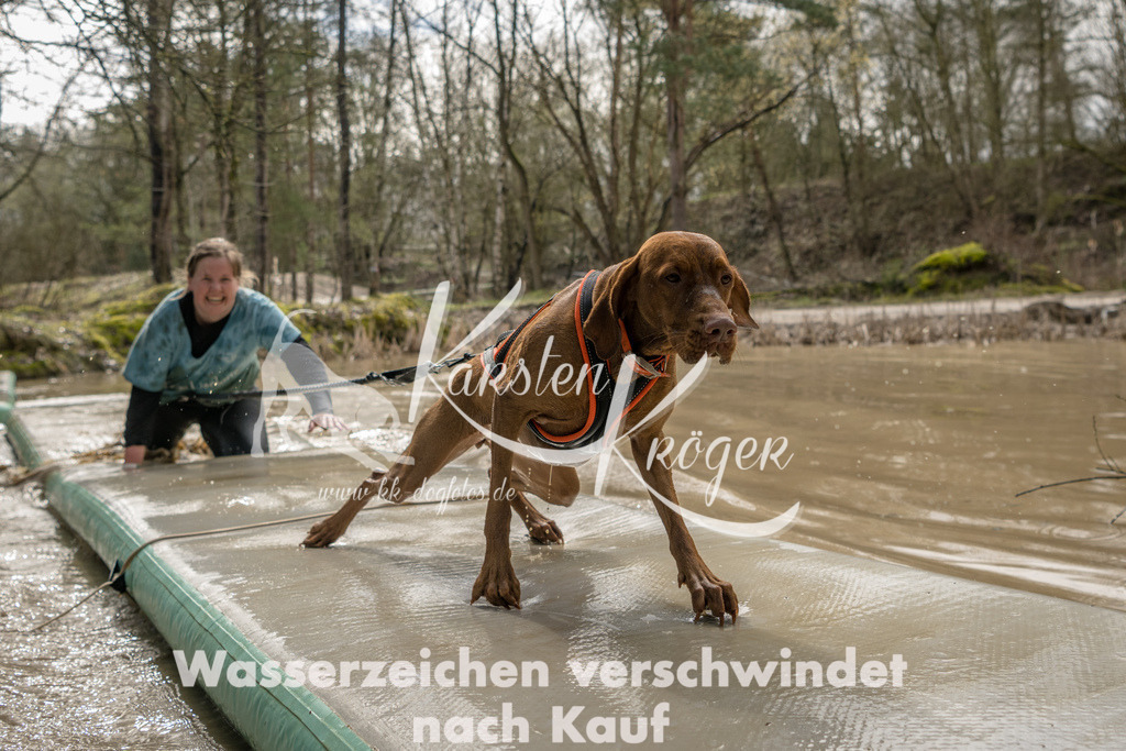 1400_ZZ91251 | kk-dogfotos