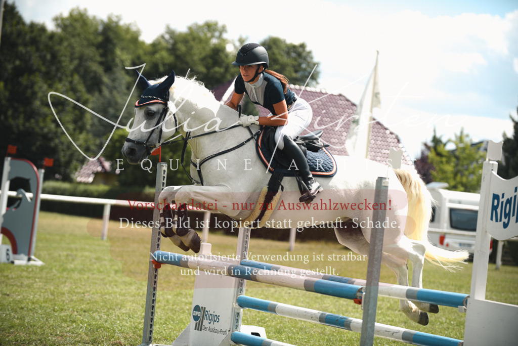 DSC_6749 | Pferde- und Turnierfotografie in Westsachsen. Pferdeportraits, Auftragszeichnungen und intuitive Kunst.