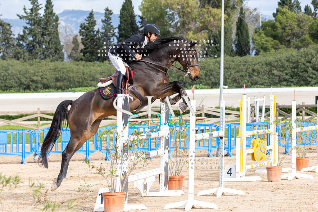 IMG_2452 | s-jay-photography - Realisiert mit Pictrs.com