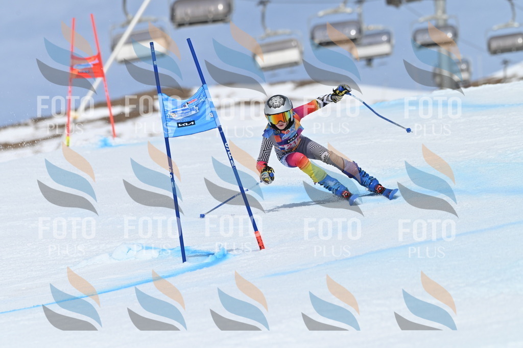 BGV_1296 | holidayphoto