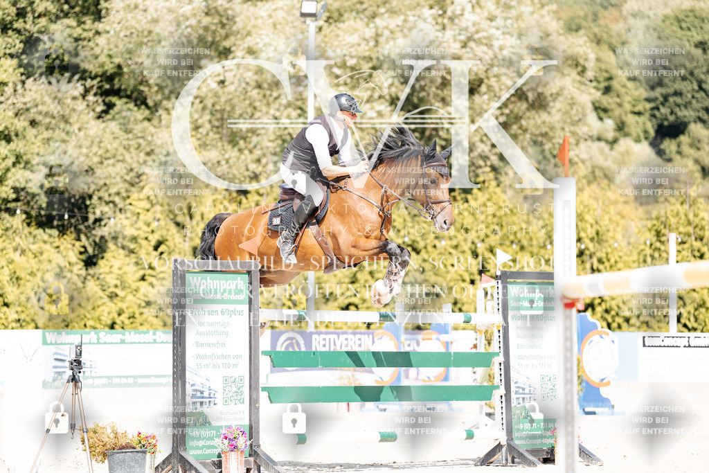 CK908861 | Turnierfotografie Pferdefotografie Trier Rheinland-Pfalz Pferdesport Reitsport Tierfotografie Sportfotografie Pferdevideo Pferdevideografie Equestrianvideography equestrianphotography  - Realisiert mit Pictrs.com