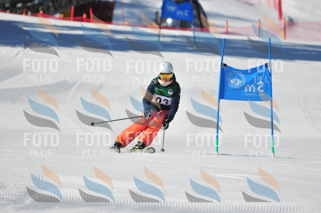 C2309 | holidayphoto