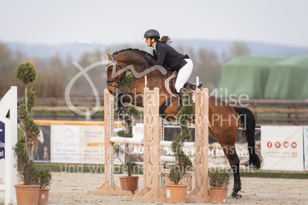 230406_Frühlingsfest_A-Stil1-116 | Deine schönsten Turniermomente als professionelle Fotos! Entdecke hochwertige Pferdesport-Fotografie im Online-Shop. Jetzt Fotos finden & bestellen!