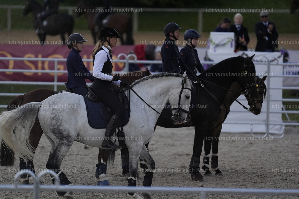 PI26_COW_Stoibphotography_DSC5479.JPG | working equitationturnier fotograf videograf stoibphotography marixx film working equitation deutschland reitsport turnierfotografie eventfotografie equestrian events