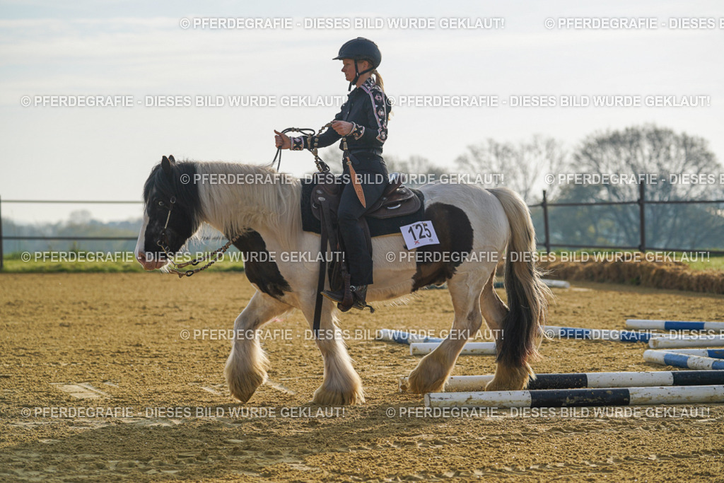 DSC00182 | Pferdegrafie