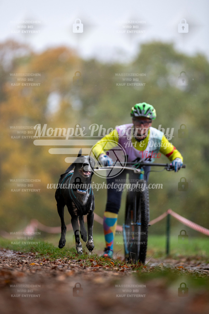 DBT_DAKM_SA_4_11_2023_DS1-54 | mompixphotography