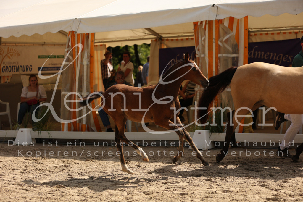 08.DoRPS00017 | Leoni Ertmer Photography - Realisiert mit Pictrs.com