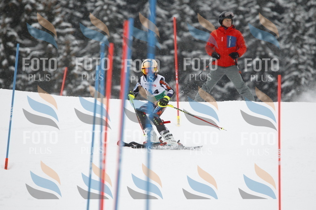 A2144 | holidayphoto