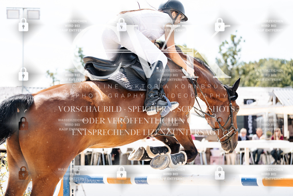 CK907955 | Turnierfotografie Pferdefotografie Trier Rheinland-Pfalz Pferdesport Reitsport Tierfotografie Sportfotografie Pferdevideo Pferdevideografie Equestrianvideography equestrianphotography  - Realisiert mit Pictrs.com