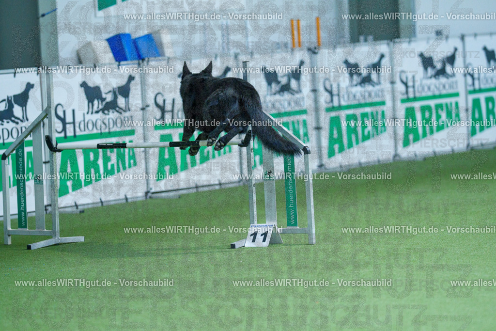 @allesWIRTHgut_Tierfotografie - www.allesWIRTHgut.de - 2604251346-7R504005 | Professionelle Tierfotografie in Mönchengladbach von Daniel Wirth (allesWIRTHgut). Liebevolle & natürliche Bilder von Hunden & Katzen für unvergessliche Erinnerungen.
