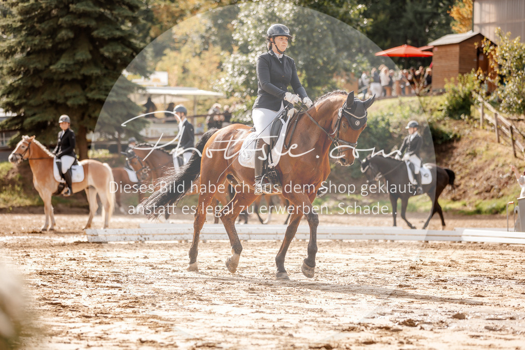 3I6A7027 | Stimmungsvolle Portraits und Reitsportfotografie im Ruhrgebiet und im Münsterland.

Pferdefotografie, Hundefotografie, Tierfotografie, Reportagen, Portraits von Tier und Mensch, Turnierfotografie in Bochum, Recklinghausen, Marl, Haltern am See, Dülmen.. - Realisiert mit Pictrs.com