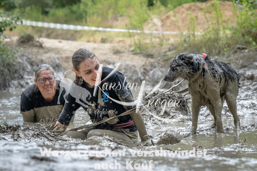1434_ZZ93049 | kk-dogfotos