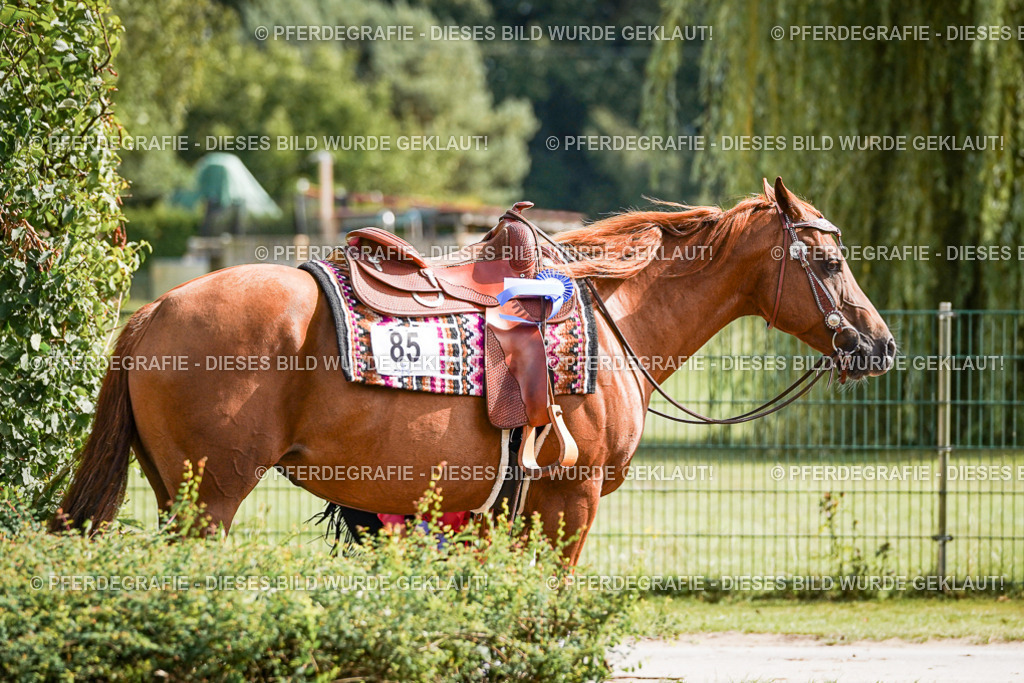 DSC09566 | Pferdegrafie