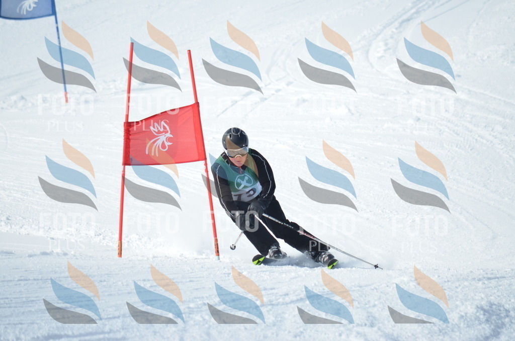 D8961 | holidayphoto