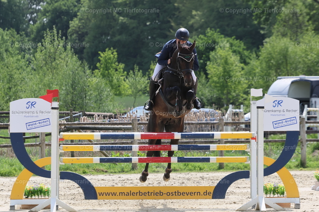 CCI3St.-SMuenstWestfMeist03052025MC3H5A5761B | Pferdefotos online bestellen - Realisiert mit Pictrs.com