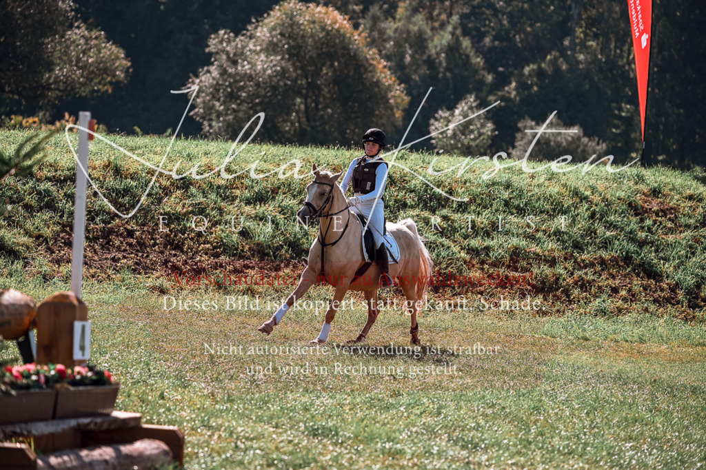 DSC_1106 | Pferde- und Turnierfotografie in Westsachsen. Pferdeportraits, Auftragszeichnungen und intuitive Kunst.