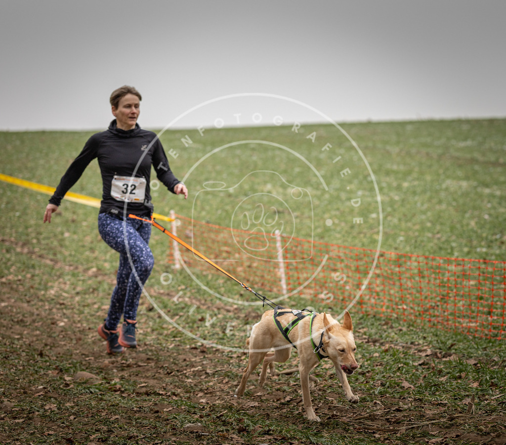 Pfotenfotografie_DV3A4932 | Hundefotografie, Tierfotograf, Pfotenfotografie, Fotoshooting Hund, Hunde Portrait, Hundesport, Hundeportraits, Heideshooting, Hunde, Sportfotograf, Hundefotograf, Turnierhundsport, THS,  - Realisiert mit Pictrs.com