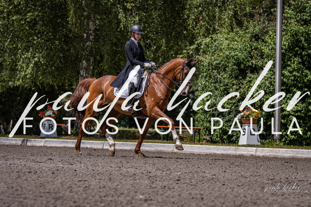 IMG_8242 | Erleben Sie dynamische Sport- und emotionale Tierfotografie in Süddeutschland mit Fotos von Paula. Spezialisiert auf Pferde- und Hundefotografie sowie Sportevents. Kontaktieren Sie mich für einzigartige und ausdrucksstarke Bilder Ihrer besonderen Momente.