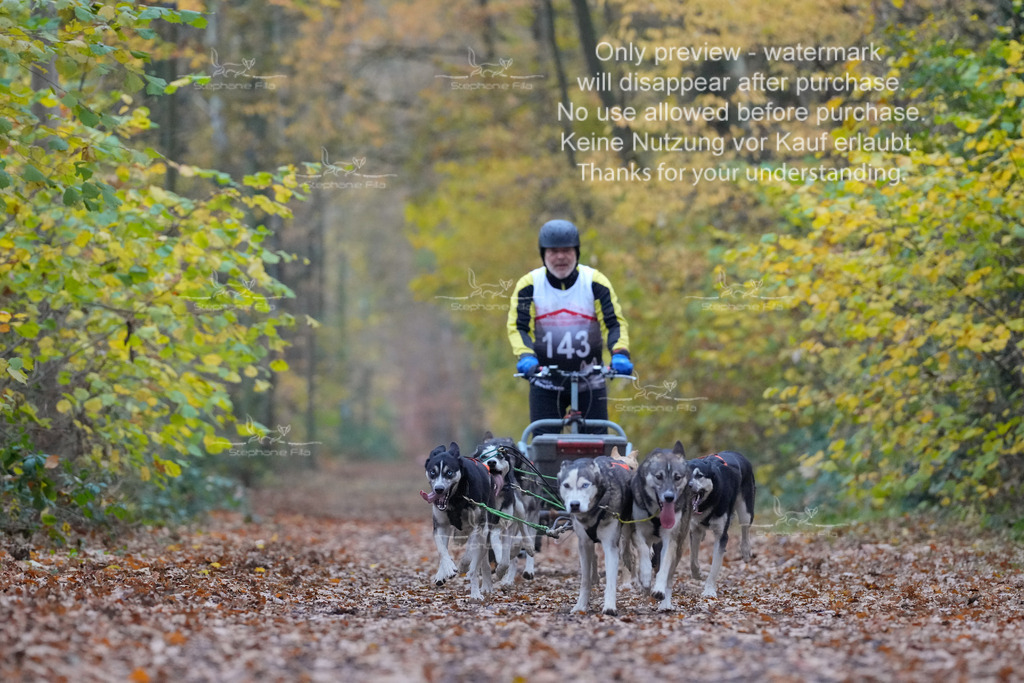 Rigs4bis8So-126 | stephaniefillaphotographie - Realisiert mit Pictrs.com