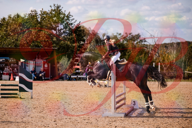 2026_10_03_Siefer-Hof_154310_Z81_60990165 | Professionelle Reitsport-, Turnier- und Eventfotografie von Robert Broda. Galerien mit ausgewählten und bearbeiteten Bildern direkt online ansehen und bestellen.