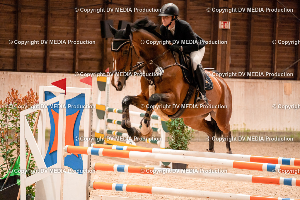 Springen Tag 1-396 | dv-media-shop - Realisiert mit Pictrs.com