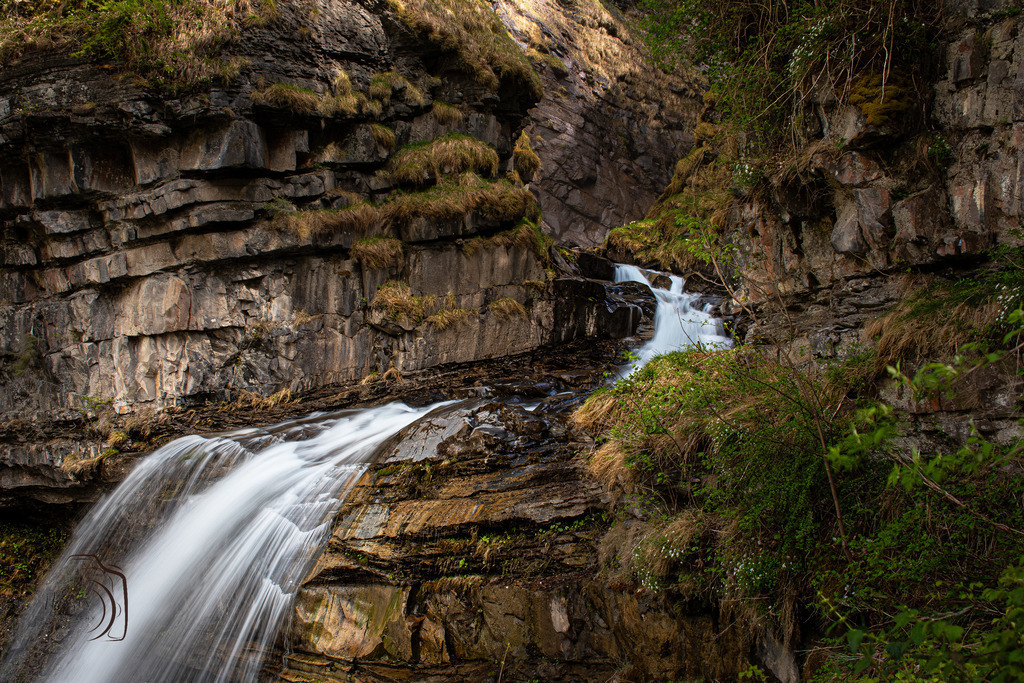 2025-04-24 19-41-35 (B_R8_S4)-Verbessert-RR | Holzisphotography, Landschaftsfotografie, Wildlifefotogorafie - Realisiert mit Pictrs.com