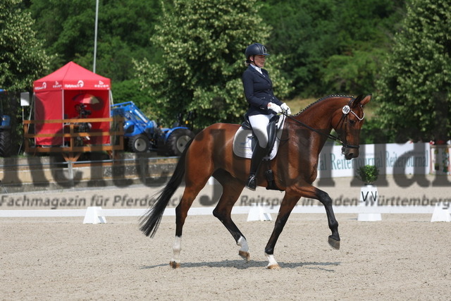 Weilheim_2023_Prfg.Nr.13_Dressurpferde_Kl.M-Quali.BCH_6jähr_Ilsemarie Philipp_Riminis Queen 3 (15) | Alle Fotos der Reiterjournal Fotografin Doris Matthaes im Reiterjournal Online-Fotoshop. - Realisiert mit Pictrs.com