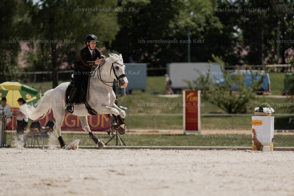 WE_SP_Stoib_318_PI2025_2075 | Pferd International München 2025