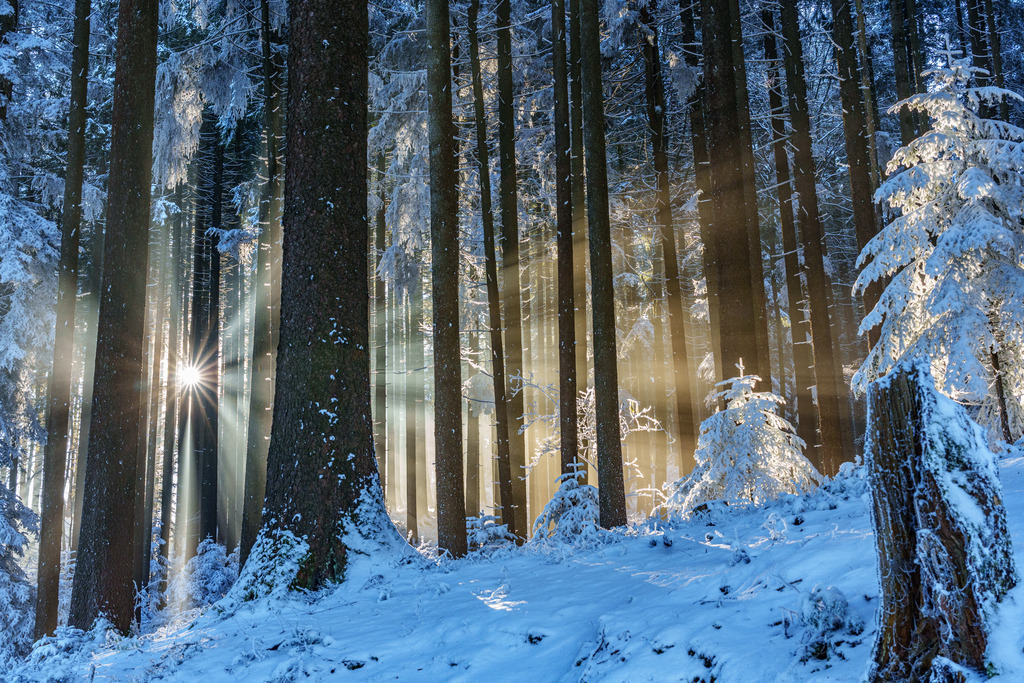 2022_12_18 A7407710 | bridgeman - Realisiert mit Pictrs.com