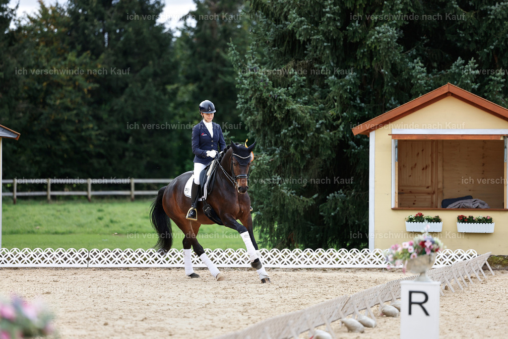 3-Siegerehrung-Dressur M_-StoibPH-2579 | working equitationturnier fotograf videograf stoibphotography marixx film working equitation deutschland reitsport turnierfotografie eventfotografie equestrian events