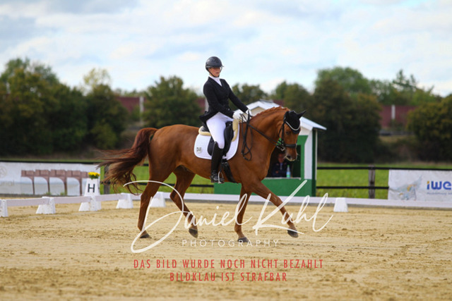 DKP44494 | Turniersportfotografie; Pferdefotografie; Dressurfotografie