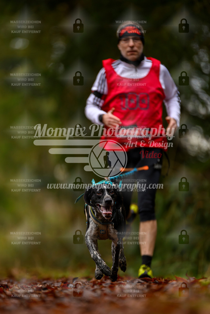 MompixPhotography_2SSTSSBW_2025_SO_Canicross-53 | PayLife