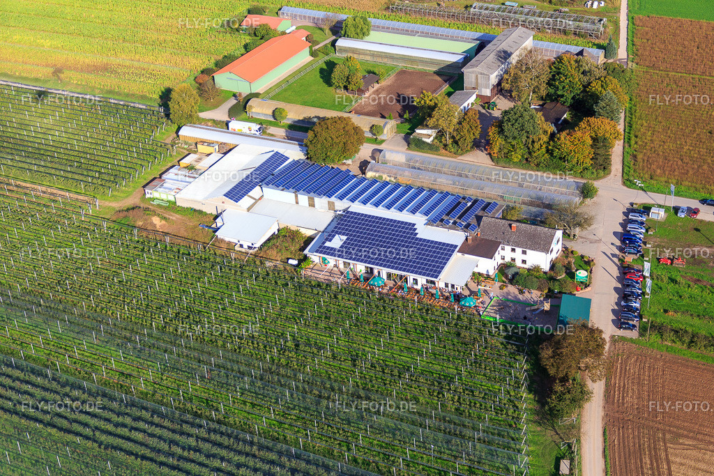 Zapf Hofmarkt, Obst und Spargelhof, Hofcafé Zapf https://obsthof-zapf.de/ | Luftbild: Zapf Hofmarkt, Obst und Spargelhof, Hofcafé Zapf https://obsthof-zapf.de/ in Kandel im Bundesland Rheinland-Pfalz in Deutschland. Foto: IMG_074551.jpg vom 14.10.2014 durch Werner Riehm/FLY-FOTO.de - Realisiert mit Pictrs.com