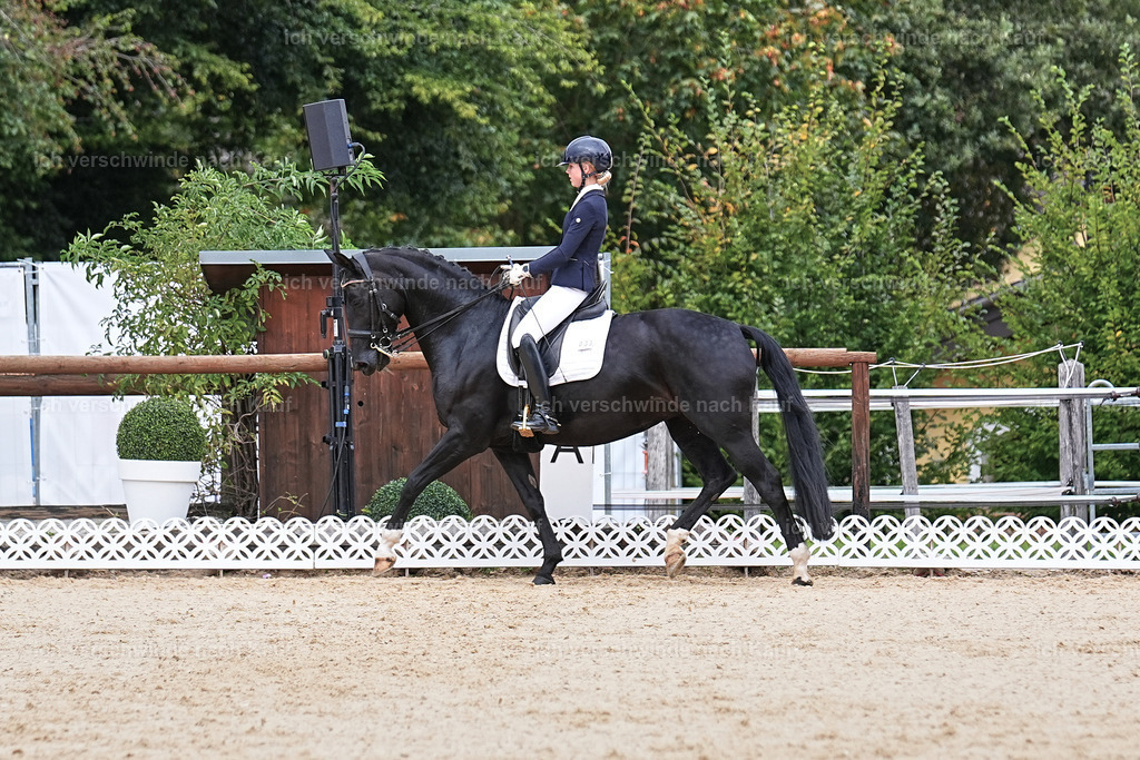 04_1-033-Dressur M__ -Marixx-2757 | working equitationturnier fotograf videograf stoibphotography marixx film working equitation deutschland reitsport turnierfotografie eventfotografie equestrian events