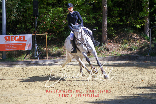 DKP43176 | Deine Turnierfotos vom Reitturnier online kaufen: Dressur, Springen & Siegerehrung. Professionelle Pferdefotografie aus dem Rheinland – als Download & Print.Alternative: Turnierfotograf für den Pferdesport: Finde deine Fotos von Dressur- und Springturnier