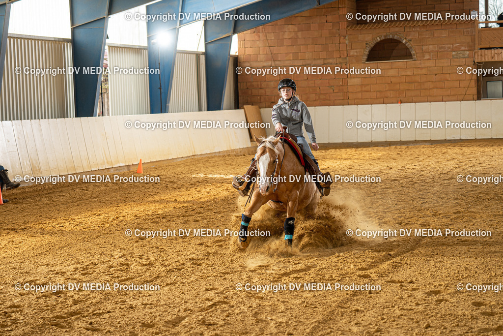 MIT00103 | dv-media-shop - Realisiert mit Pictrs.com