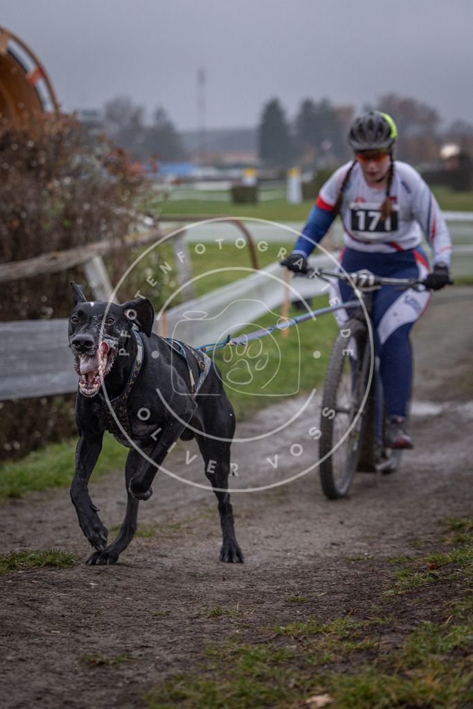 CaniXpix_0L8A0645 | Hundefotografie, Tierfotograf, Pfotenfotografie, Fotoshooting Hund, Hunde Portrait, Hundesport, Hundeportraits, Heideshooting, Hunde, Sportfotograf, Hundefotograf, Turnierhundsport, THS,  - Realisiert mit Pictrs.com