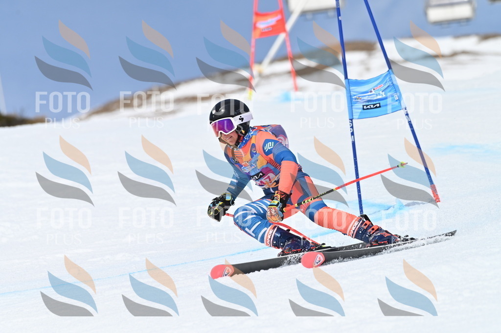 BGV_3064 | holidayphoto