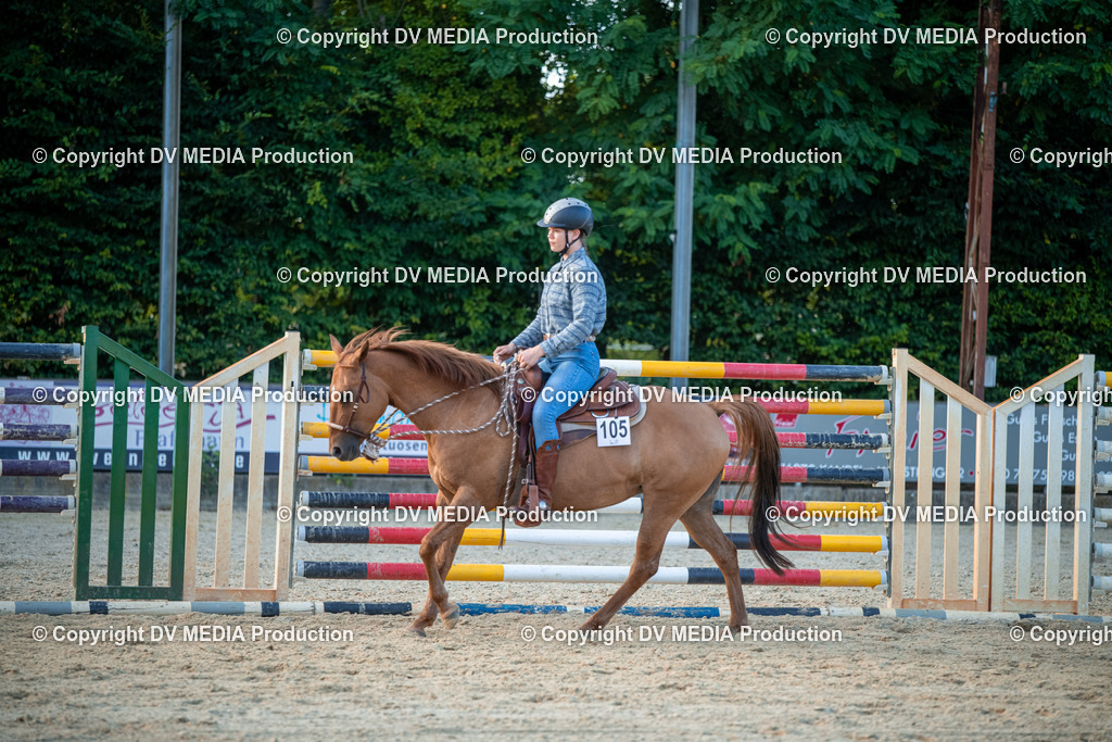 EWP_7301 | dv-media-shop - Realisiert mit Pictrs.com