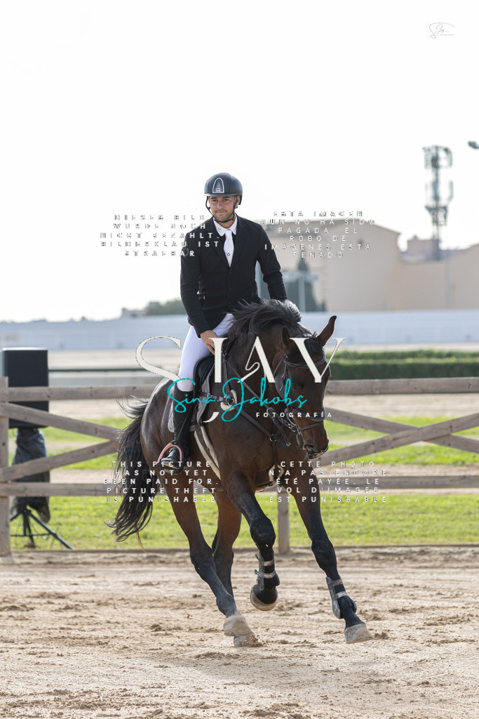 IMG_2336 | s-jay-photography - Realisiert mit Pictrs.com