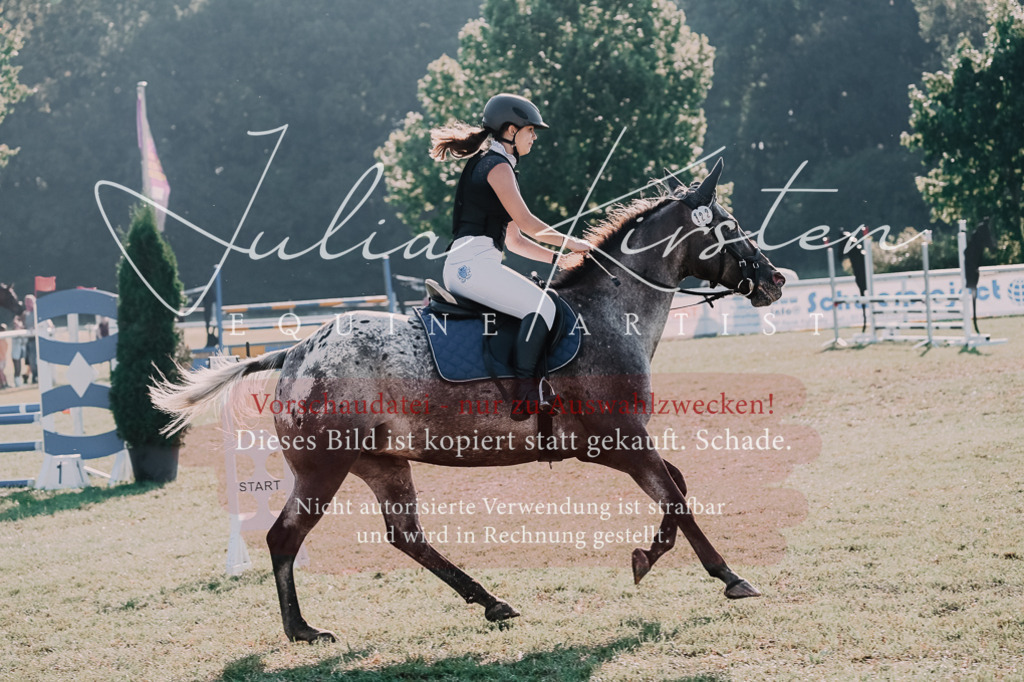 DSC_4490 | Pferde- und Turnierfotografie in Westsachsen. Pferdeportraits, Auftragszeichnungen und intuitive Kunst.