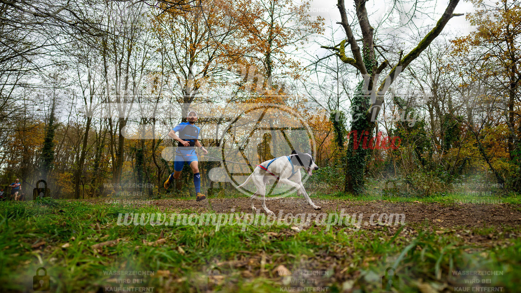 MompixPhotography_Bischwiller24_DI_CoursedeRelais-9 | PayLife