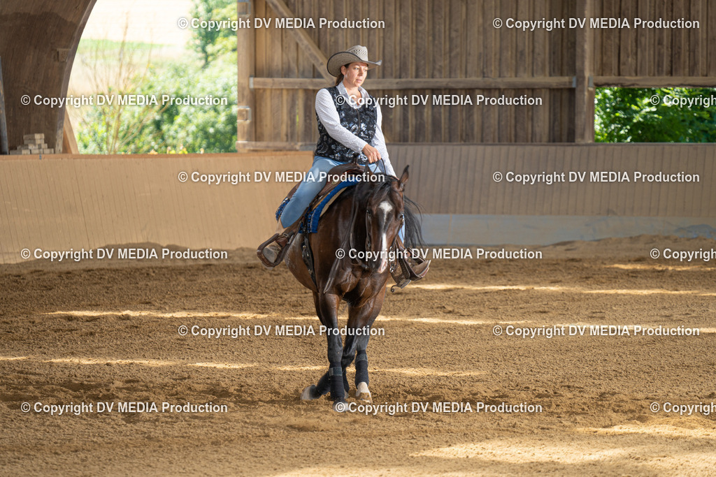 DSC00046 | dv-media-shop - Realisiert mit Pictrs.com