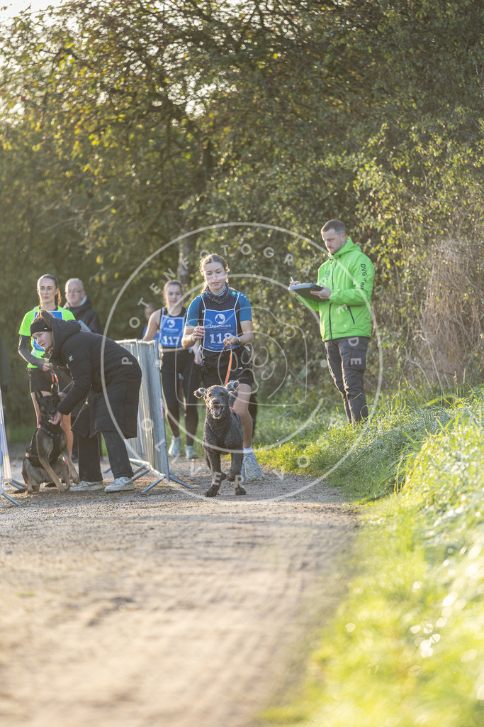 Pfotenfotografie.de_DV3A2421 | Hundefotografie, Tierfotograf, Pfotenfotografie, Fotoshooting Hund, Hunde Portrait, Hundesport, Hundeportraits, Heideshooting, Hunde, Sportfotograf, Hundefotograf, Turnierhundsport, THS, canicross - Realisiert mit Pictrs.com