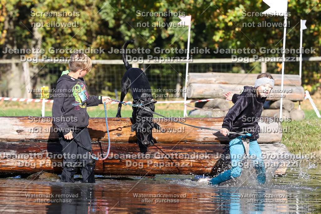 Dog Paparazzi - Strongdog 10-25-8913 | Dog Paparazzi Jeanette Grottendiek Fotografie & Videografie - Realisiert mit Pictrs.com